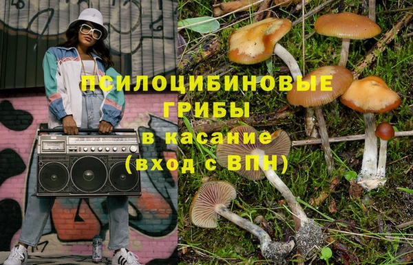 мяу мяу кристалл Аша