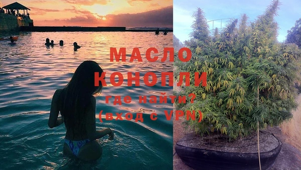 трава Ахтубинск