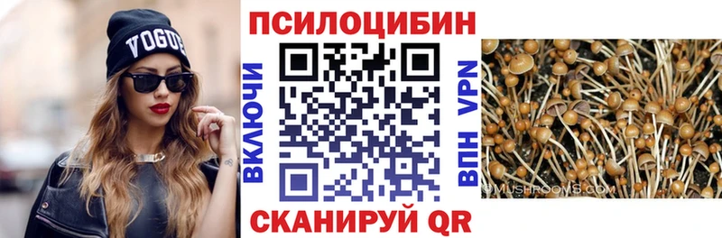 shop Telegram  дарнет шоп  Лиски  Псилоцибиновые грибы GOLDEN TEACHER 