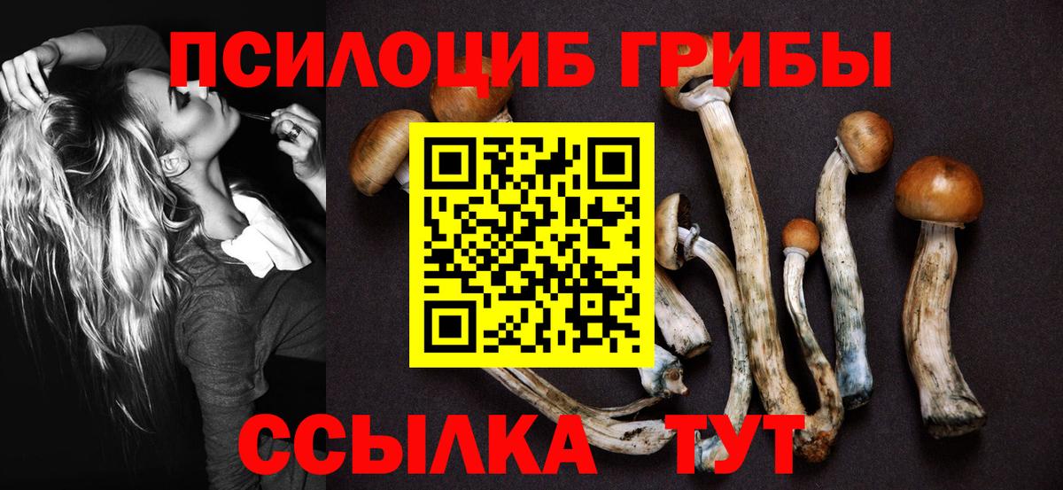 Лиски  Псилоцибиновые грибы Magic Shrooms  Вход с VPN  Псилоцибиновые грибы мухоморы 
