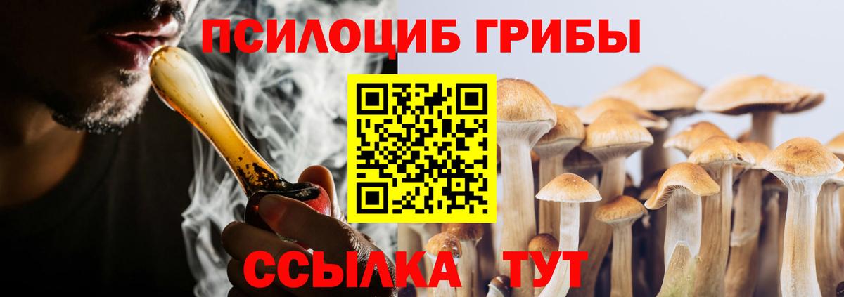 Псилоцибиновые грибы прущие грибы Лиски